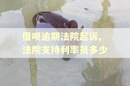 借呗逾期法院起诉,法院支持利率员多少