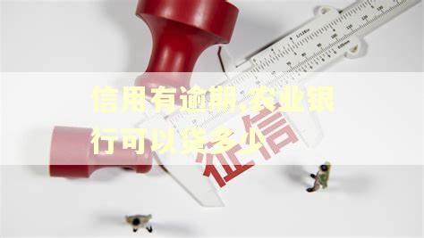 信用有逾期,农业银行可以贷多少