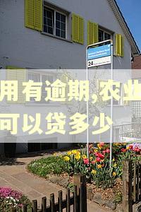 信用有逾期,农业银行可以贷多少