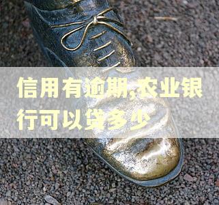 信用有逾期,农业银行可以贷多少 信用有逾期,农业银行可以贷多少