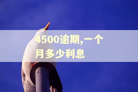 4500逾期,一个月多少利息