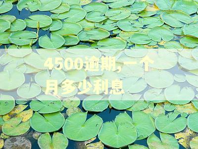 4500逾期,一个月多少利息