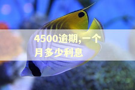 4500逾期,一个月多少利息