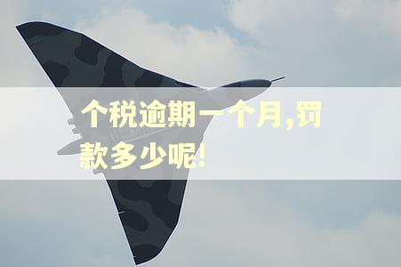 个税逾期一个月,罚款多少呢!