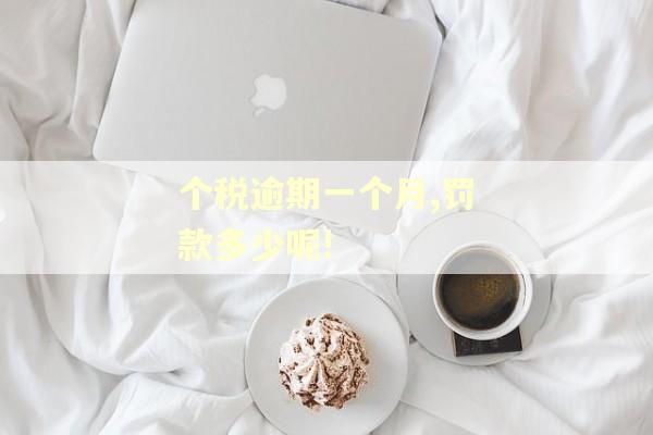 个税逾期一个月,罚款多少呢!