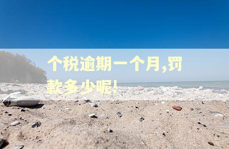 个税逾期一个月,罚款多少呢! 个税逾期一个月,罚款多少呢!