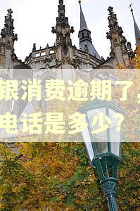 中银消费逾期了,还款电话是多少?