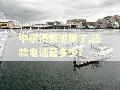 中银消费逾期了,还款电话是多少?