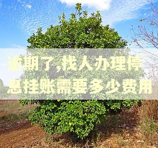 逾期了,找人办理停息挂账需要多少费用
