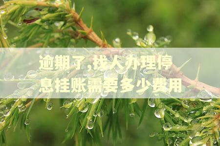 逾期了,找人办理停息挂账需要多少费用