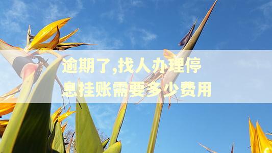 逾期了,找人办理停息挂账需要多少费用