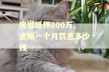 房屋抵押200万,逾期一个月罚息多少钱