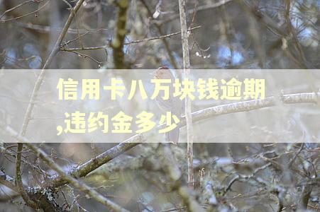信用卡八万块钱逾期,违约金多少