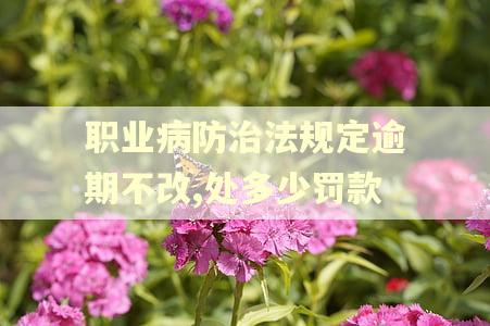 职业病防治法规定逾期不改,处多少罚款