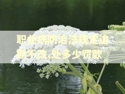 职业病防治法规定逾期不改,处多少罚款