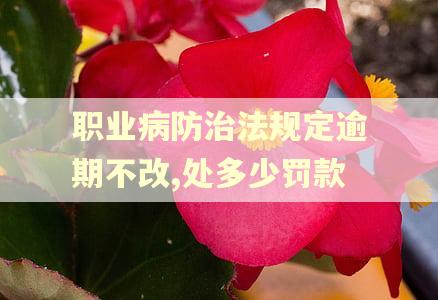 职业病防治法规定逾期不改,处多少罚款 职业病防治法规定逾期不改,处多少罚款