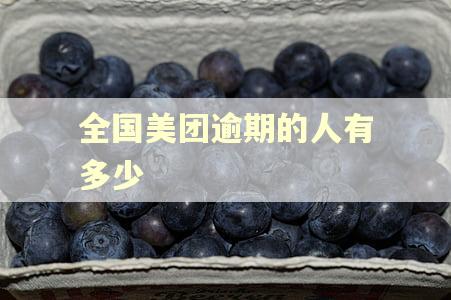 全国美团逾期的人有多少