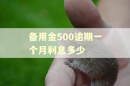 备用金500逾期一个月利息多少