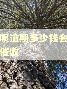 借呗逾期多少钱会上门催收