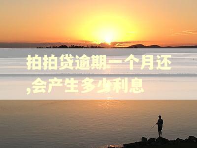 拍拍贷逾期一个月还,会产生多少利息