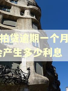 拍拍贷逾期一个月还,会产生多少利息