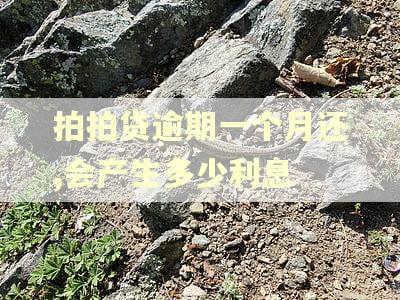 拍拍贷逾期一个月还,会产生多少利息