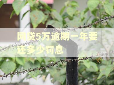 网贷5万逾期一年要还多少罚息