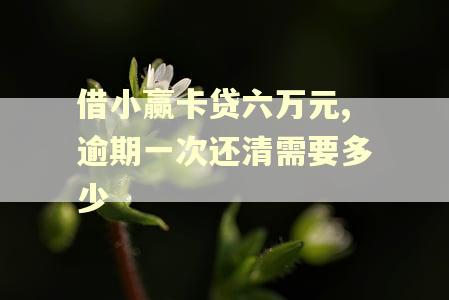 借小赢卡贷六万元,逾期一次还清需要多少