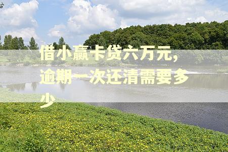 借小赢卡贷六万元,逾期一次还清需要多少