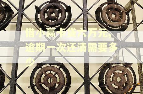 借小赢卡贷六万元,逾期一次还清需要多少