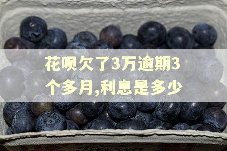 花呗欠了3万逾期3个多月,利息是多少