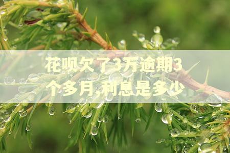 花呗欠了3万逾期3个多月,利息是多少