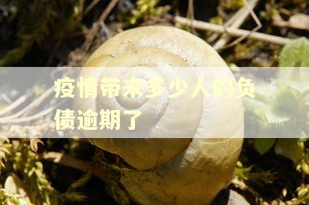 疫情带来多少人的负债逾期了