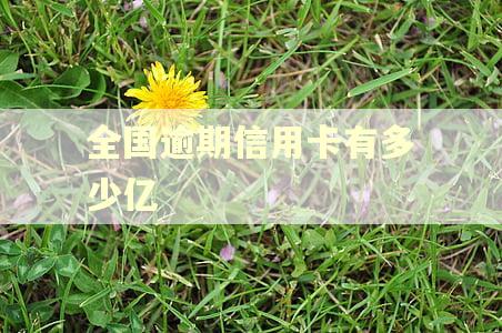全国逾期信用卡有多少亿