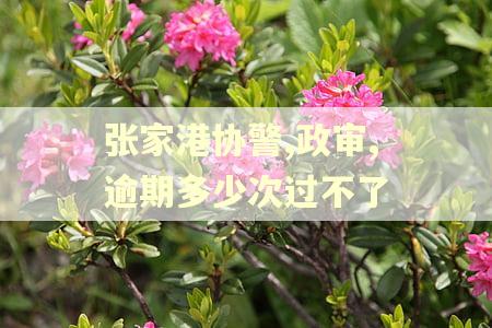 张家港协警,政审,逾期多少次过不了