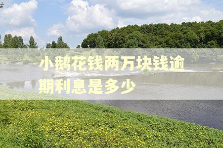 小鹅花钱两万块钱逾期利息是多少
