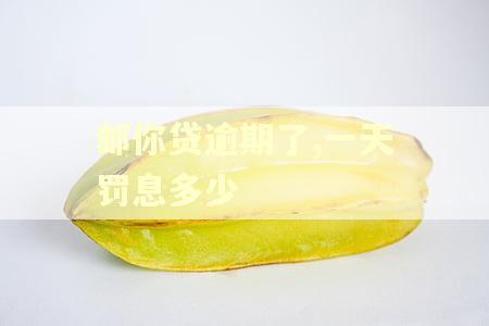 邮你贷逾期了,一天罚息多少