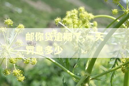 邮你贷逾期了,一天罚息多少
