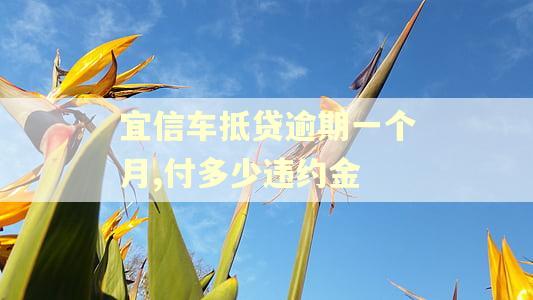 宜信车抵贷逾期一个月,付多少违约金