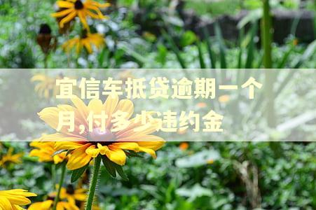 宜信车抵贷逾期一个月,付多少违约金 宜信车抵贷逾期一个月,付多少违约金