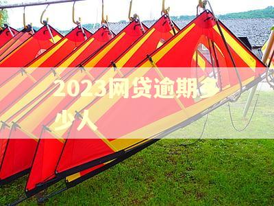 2023网贷逾期多少人