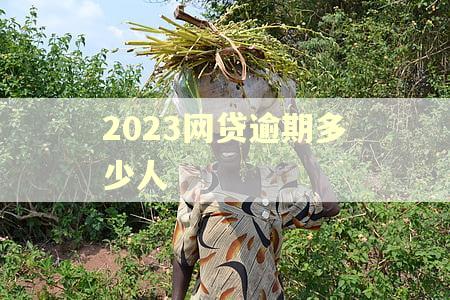 2023网贷逾期多少人