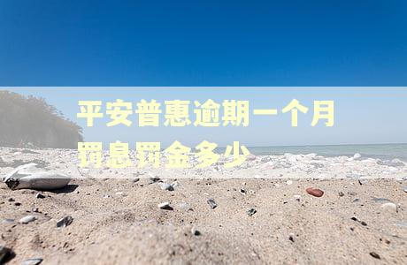 平安普惠逾期一个月罚息罚金多少