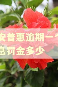 平安普惠逾期一个月罚息罚金多少