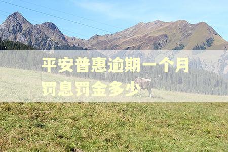平安普惠逾期一个月罚息罚金多少