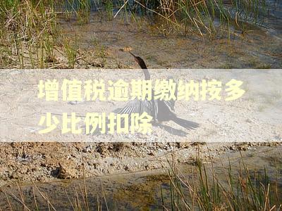 增值税逾期缴纳按多少比例扣除 增值税逾期缴纳按多少比例扣除