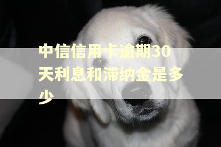 中信信用卡逾期30天利息和滞纳金是多少