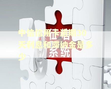 中信信用卡逾期30天利息和滞纳金是多少