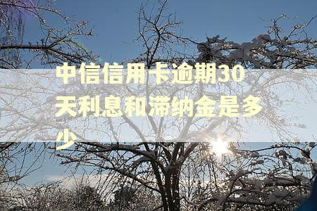中信信用卡逾期30天利息和滞纳金是多少 中信信用卡逾期30天利息和滞纳金是多少