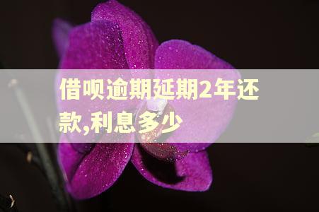 借呗逾期延期2年还款,利息多少